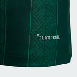 South Africa 26 Away Mens Jersey